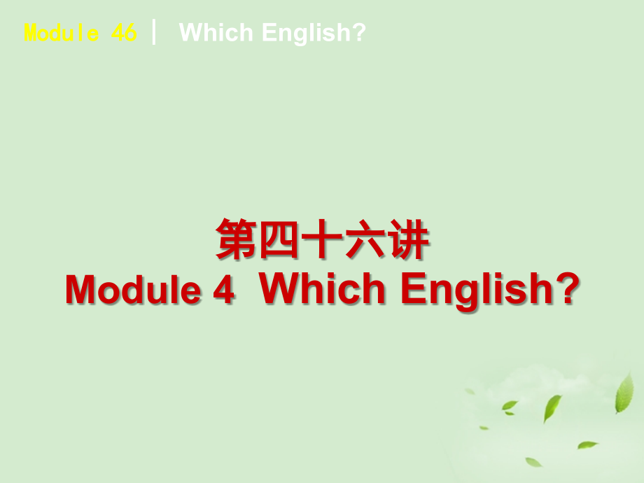 高中英语 Which English课件 外研版选修8 课件.ppt_第2页