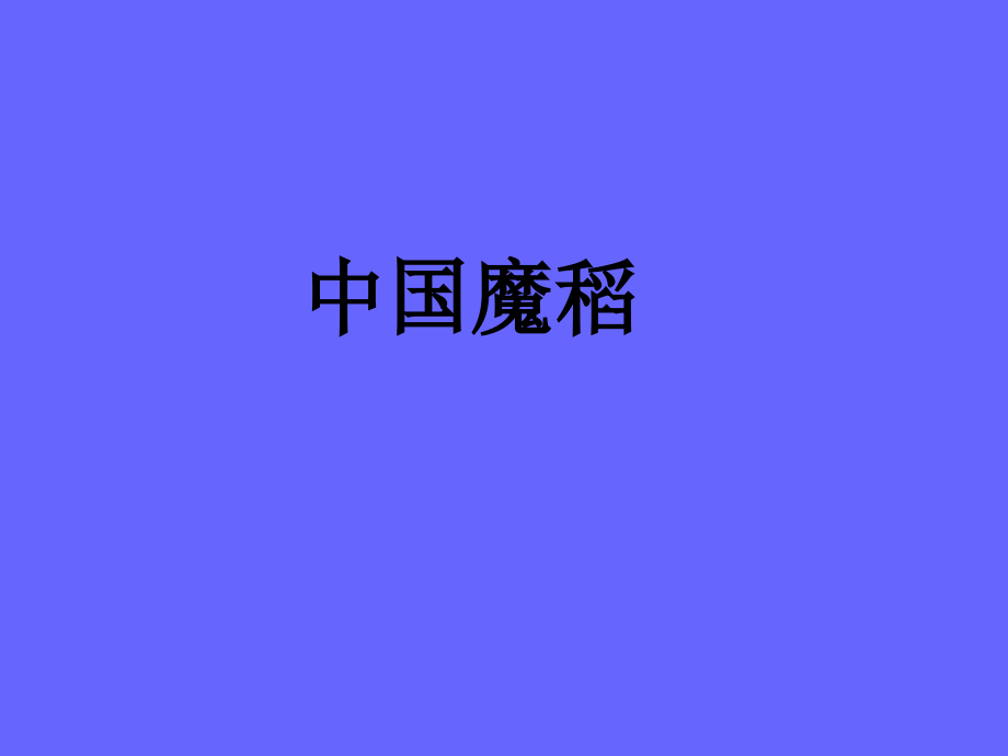 《中国魔稻》教学课件.ppt_第1页