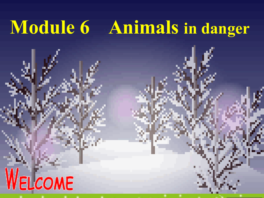 高中英语 Module 6(Animals in Danger)课件 外研版必修5 课件.ppt_第1页