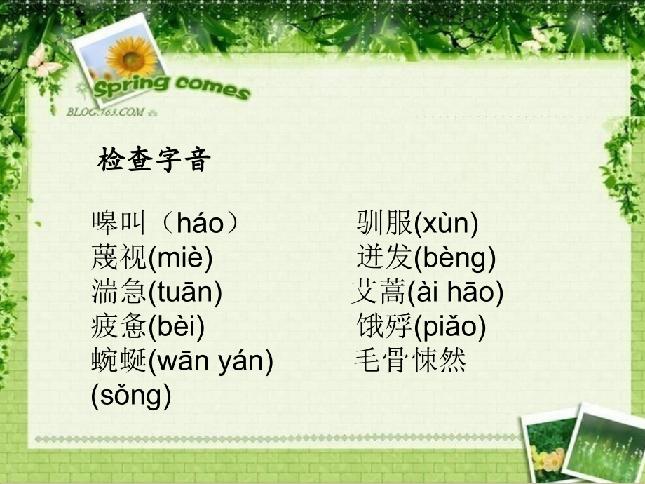 高中语文 像山那样思考课件 苏教版必修1 课件.ppt_第2页