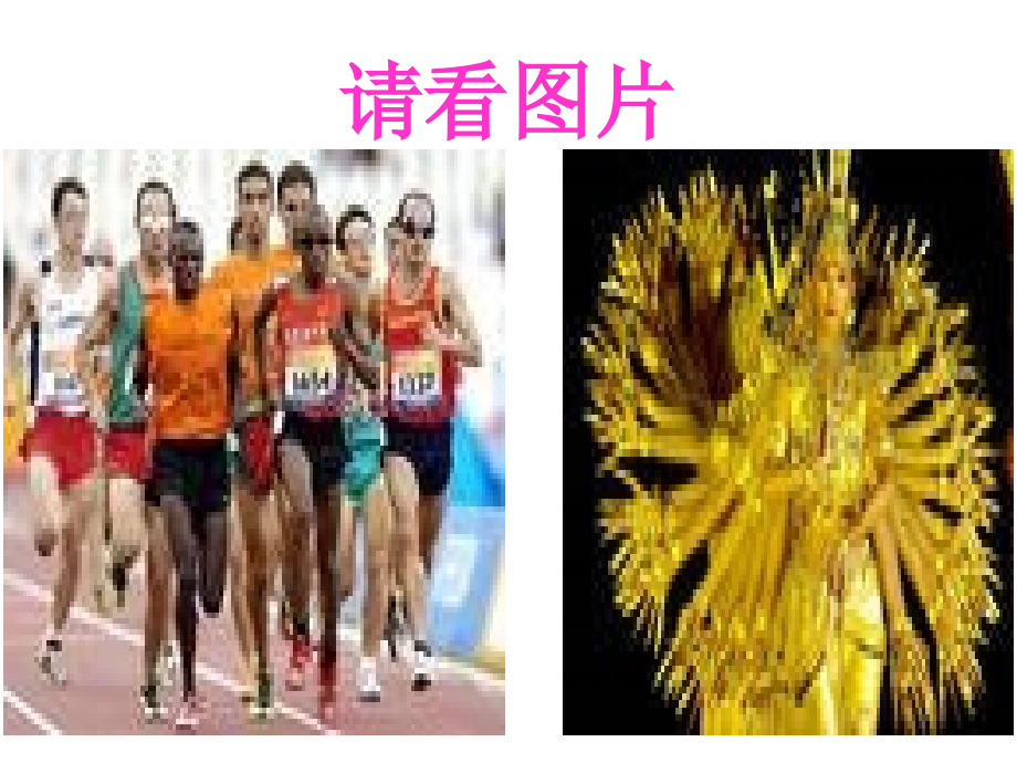 高中语文：312 我与地坛节选 课件2粤教版必修1 课件.ppt_第2页