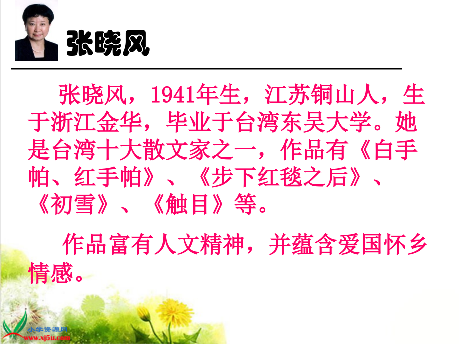 北师大版五年级语文上册《我喜欢》第一课时教学课件.ppt_第2页