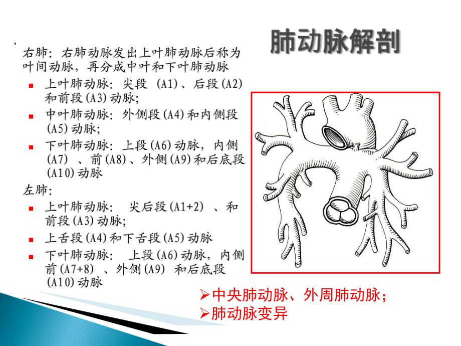 肺栓塞0227.ppt_第2页