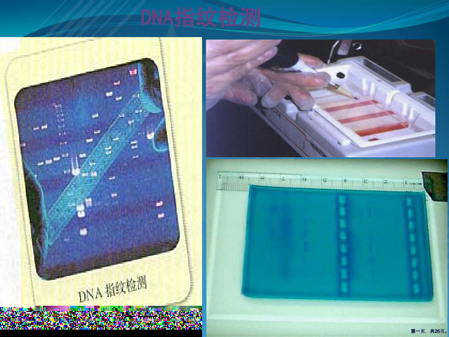 高一生物必修一核酸课件.pptx_第1页