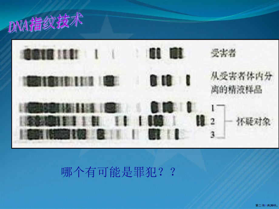 高一生物必修一核酸课件.pptx_第2页
