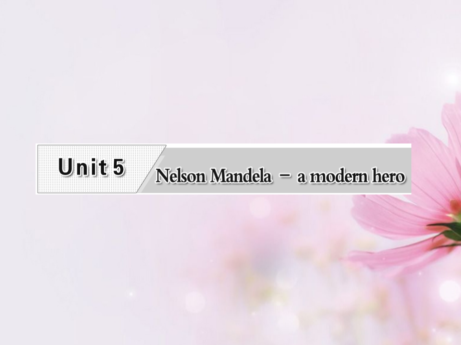 高考英语复习 Unit5 Nelson Mandela-a modern hero专题课件 新人教版必修1 课件.ppt_第1页