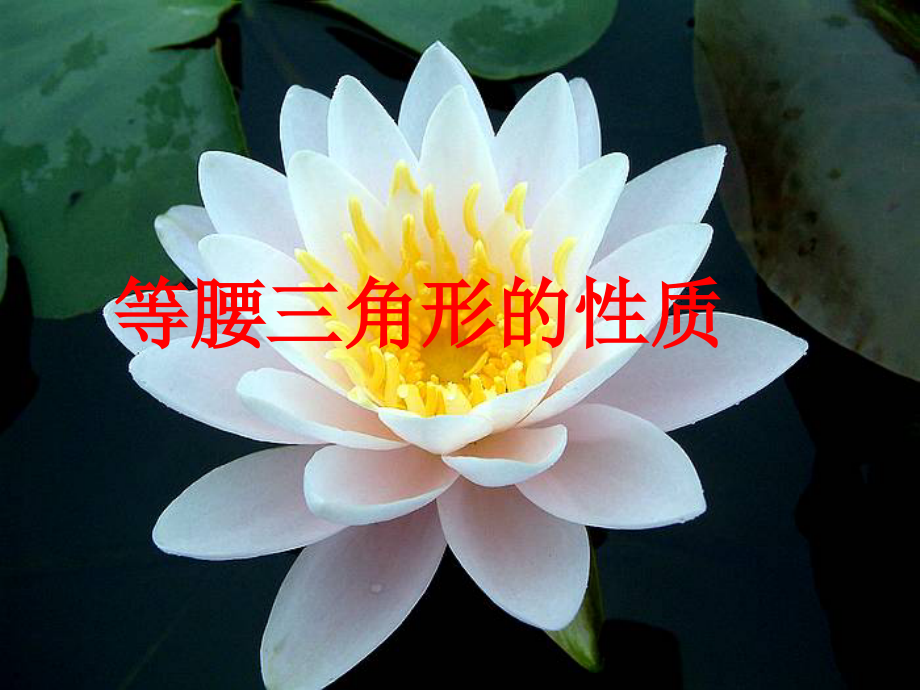 等腰三角形的性质课件.ppt.ppt_第1页