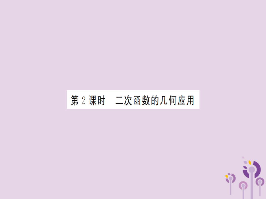 湖北省中考数学一轮复习 第三章 函数及其图象 第五节 二次函数的综合应用 第2课时 二次函数的几何应用(习题提升)课件.ppt_第1页