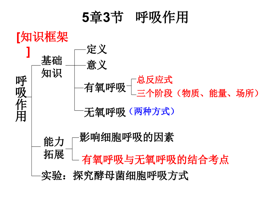 一轮复习课件——呼吸作用.ppt_第1页