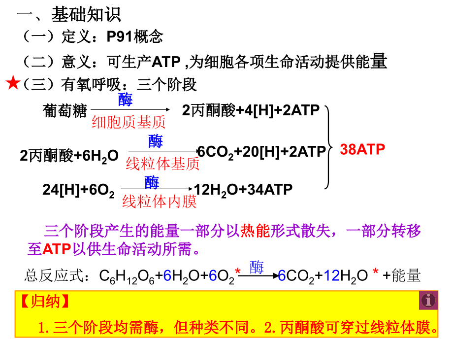 一轮复习课件——呼吸作用.ppt_第2页