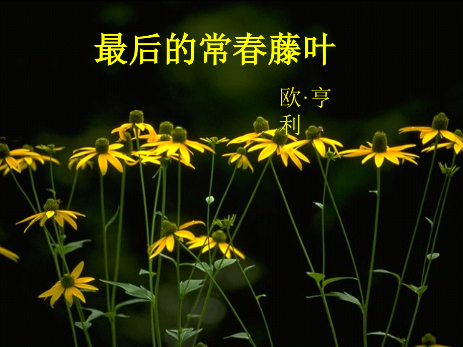 高中语文最后的常春藤叶 课件苏教版必修二 课件.ppt_第2页