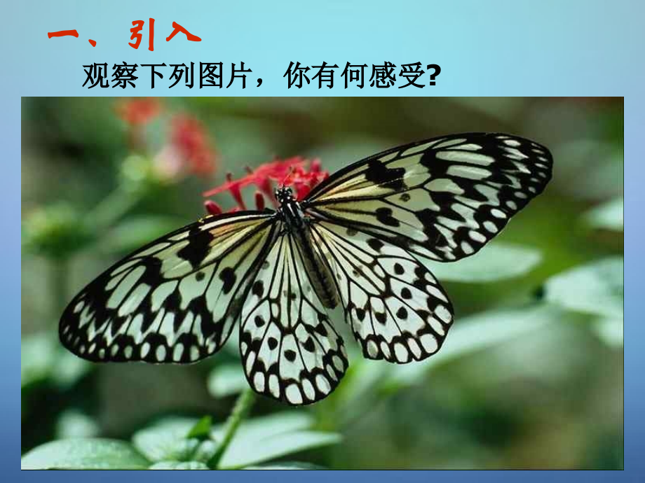 高中数学 1.3.2函数的奇偶性课件 新人教A版必修1 课件.ppt_第1页