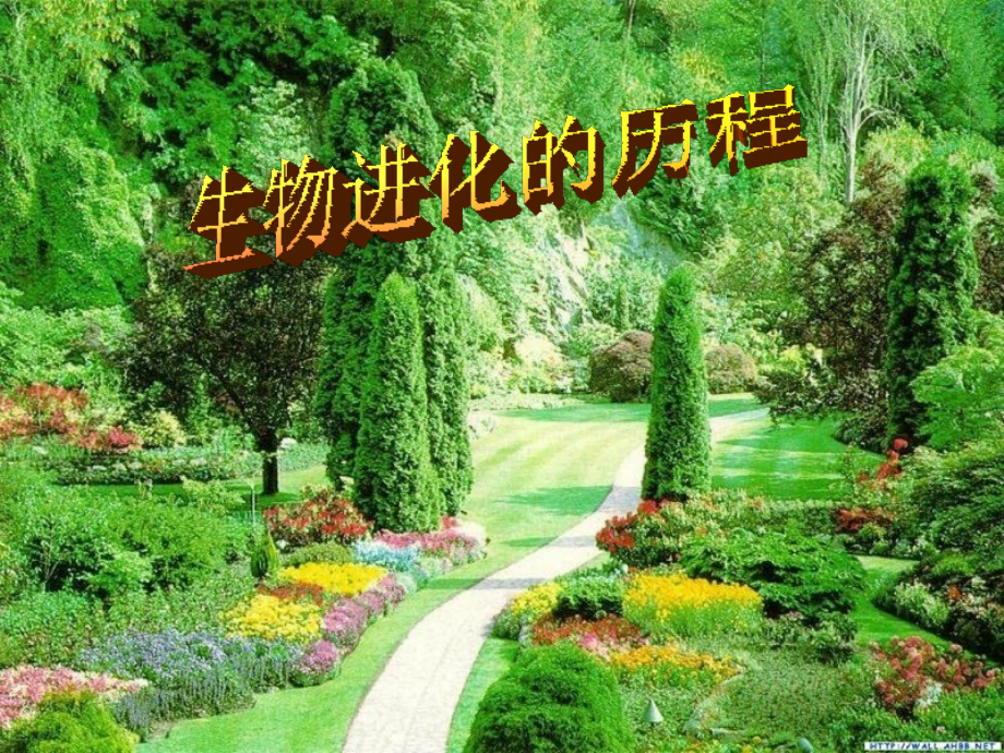 生物进化历程.ppt_第1页