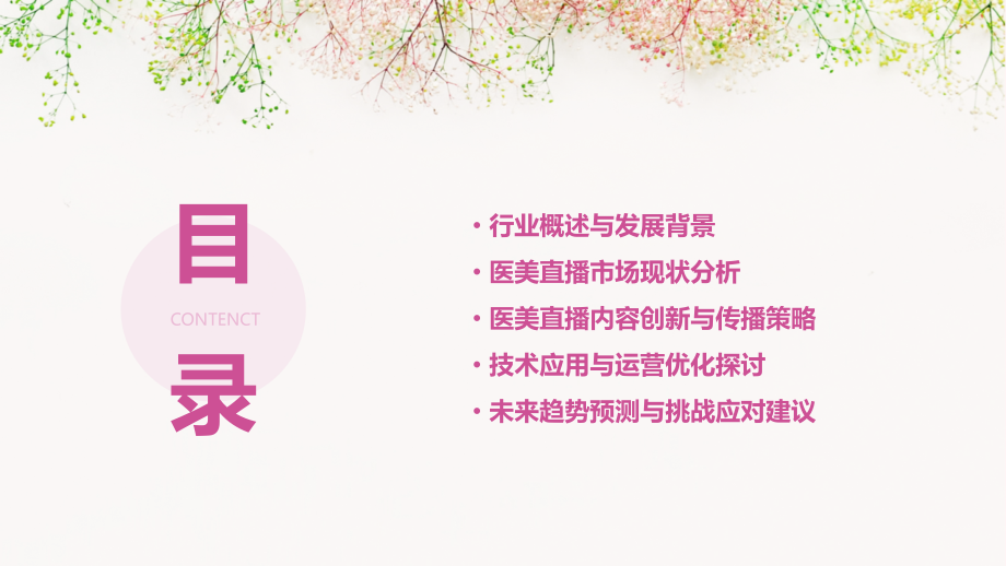 医美直播行业报告.pptx_第2页