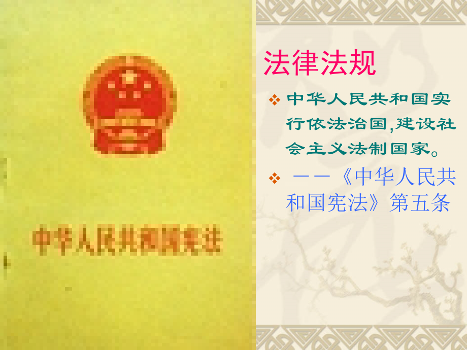 第十二课法律的尊严课件.ppt_第2页