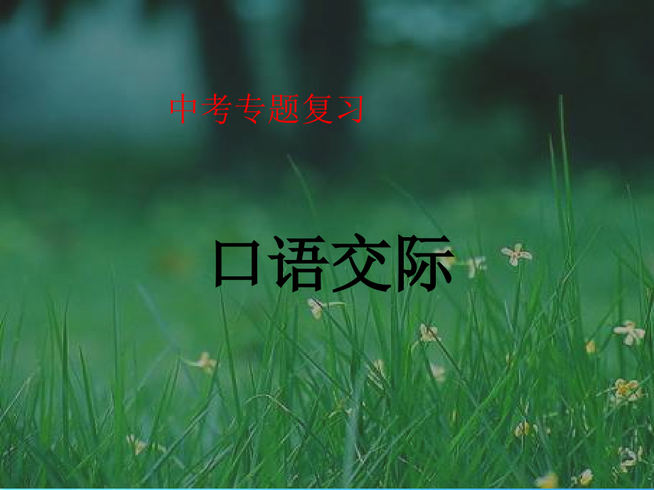 中考语文 复习(口语交际与综合探究)课件.ppt_第1页
