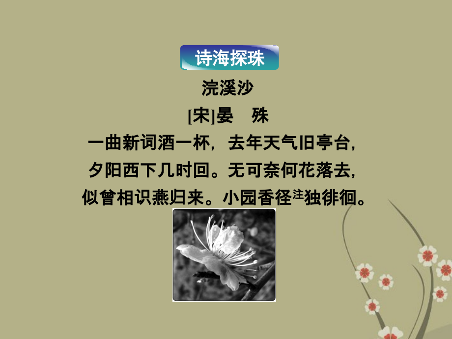 高中语文 专题四启功传奇课件 苏教版选修(传记选读) 课件.ppt_第2页