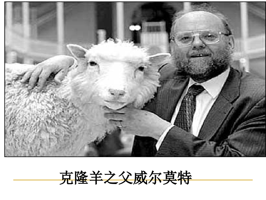 高中语文：48(论无性造人)课件鲁教版必修4 课件.ppt_第2页