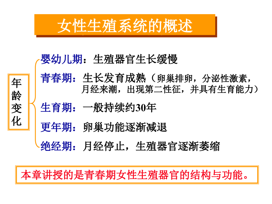 卵巢发育与生殖机理.ppt_第2页