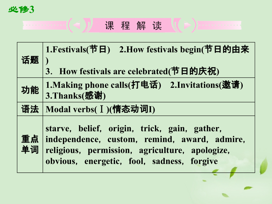 高考英语一轮复习 Unit1 Festivals around the world课件 新人教版必修3 课件.ppt_第2页