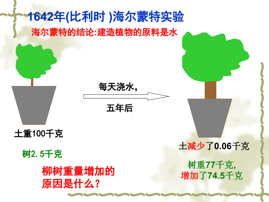 植物光合作用高中.ppt_第2页