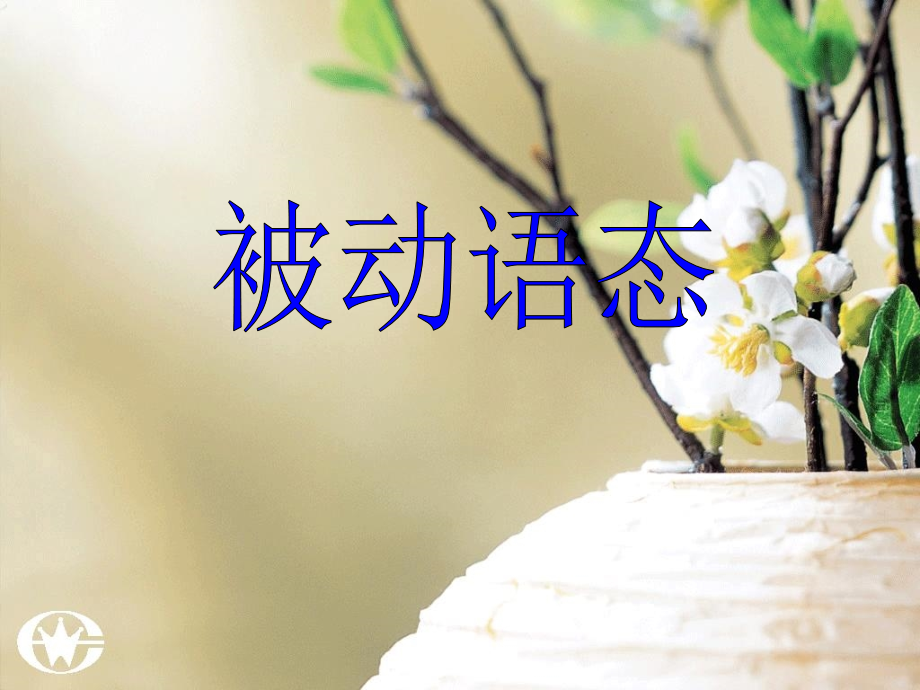 中考英语复习专题 被动语态课件.ppt_第1页