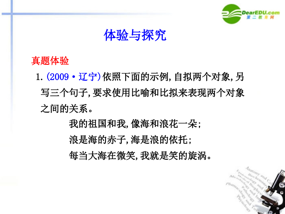 高考语文 语言运用强化仿用句式含正确运用常见的修辞方法课件 新人教版 课件.ppt_第2页