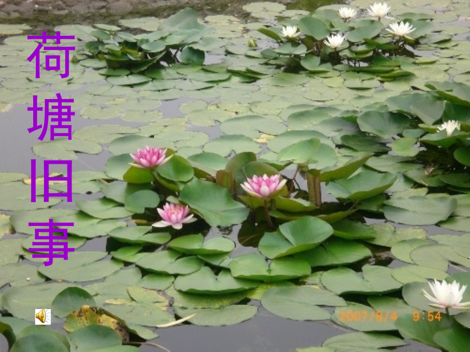《荷塘旧事》教学课件一.ppt_第1页