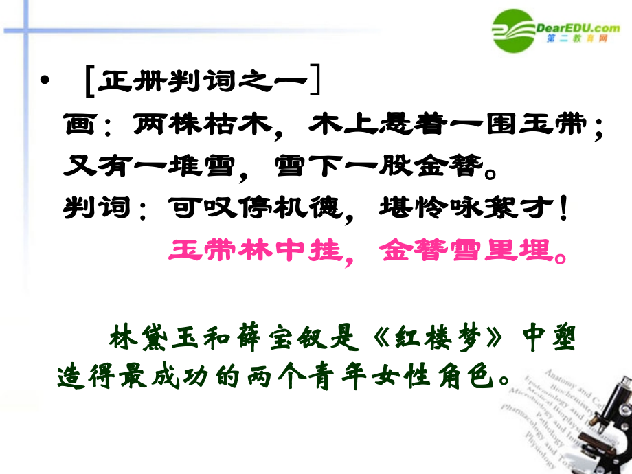 高考语文 红楼梦主要人物形象分析复习课件.ppt_第2页