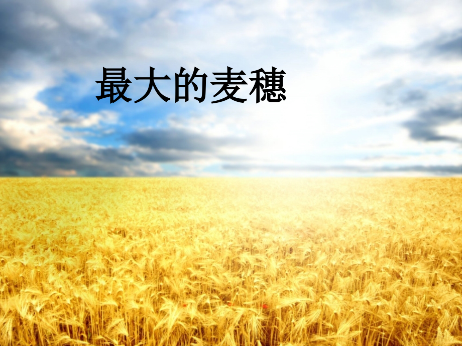 《最大的麦穗》课件.ppt_第1页