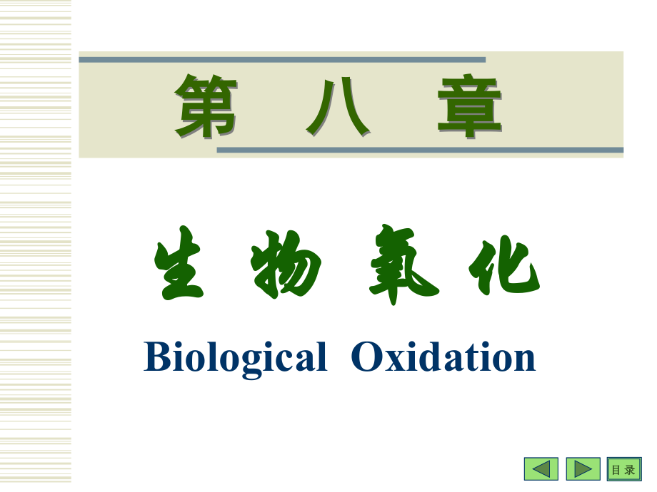 生物氧化.ppt_第1页