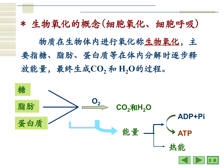 生物氧化.ppt_第2页