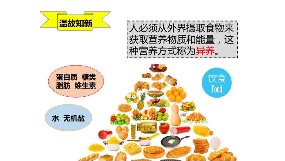生物圈中的人消化和排泄.pptx_第2页