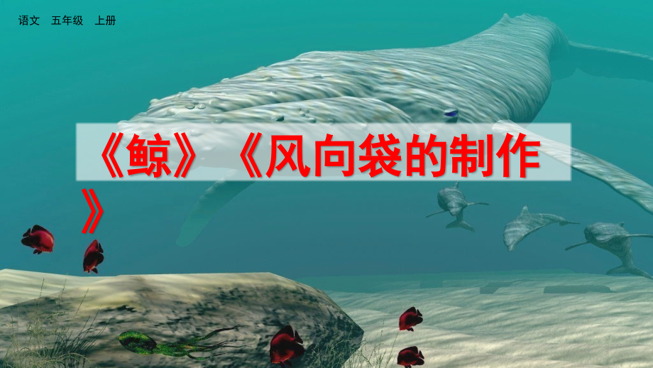部编版五年级语文上册《习作例文与习作》课件下载.ppt_第2页