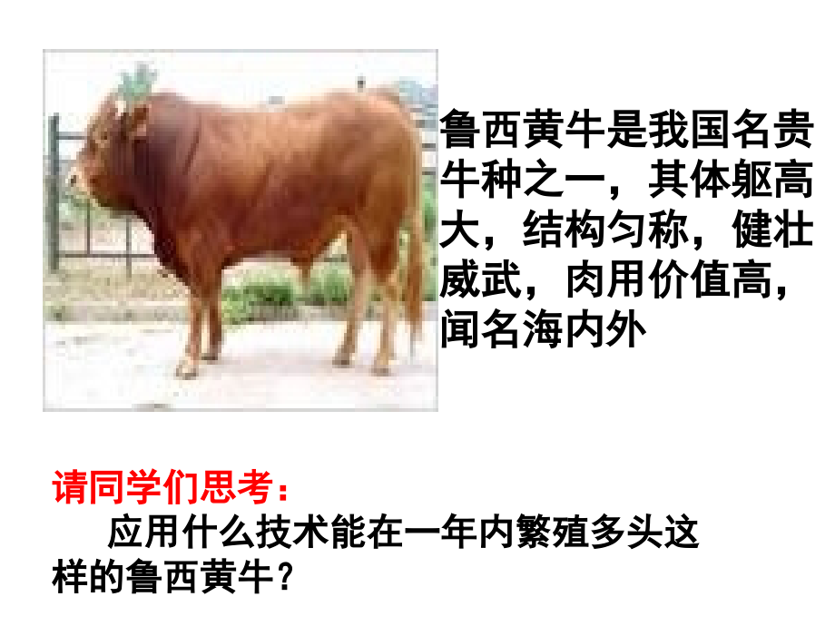 体内受精与早期胚胎的发育.ppt_第1页