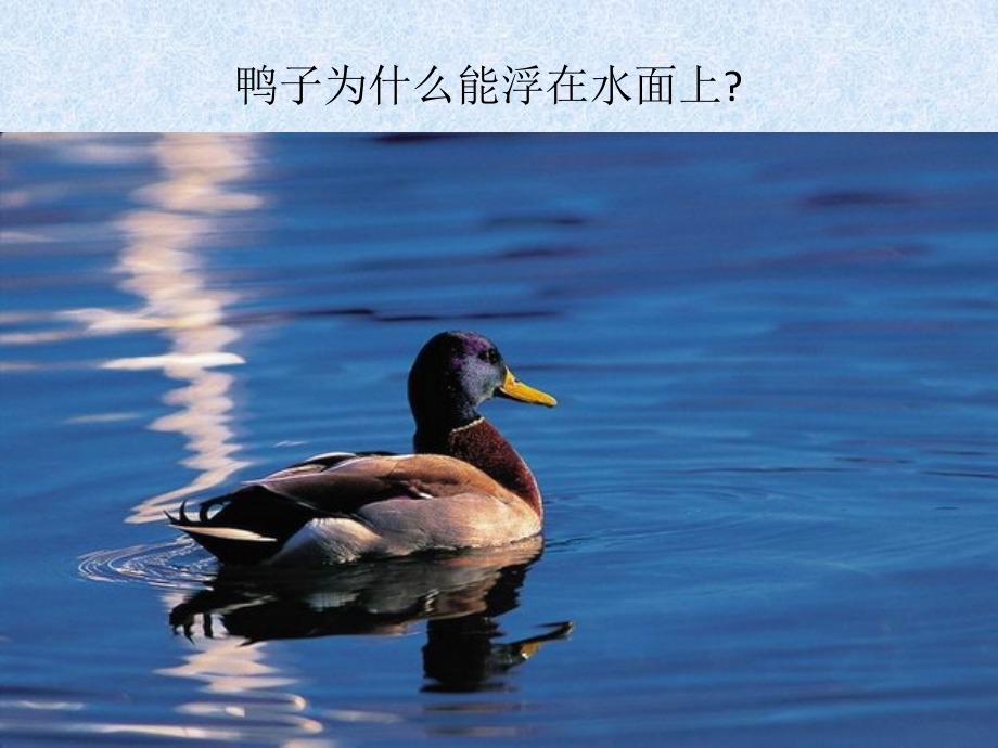 八年级第十章第一节浮力.ppt_第2页