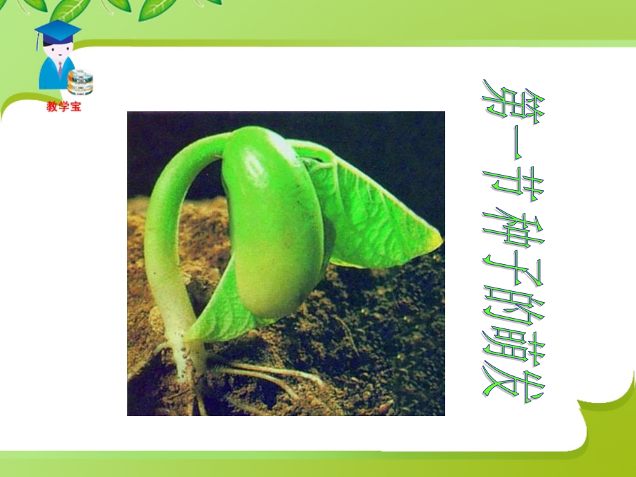 第一节__种子的萌发教学课件.ppt_第1页