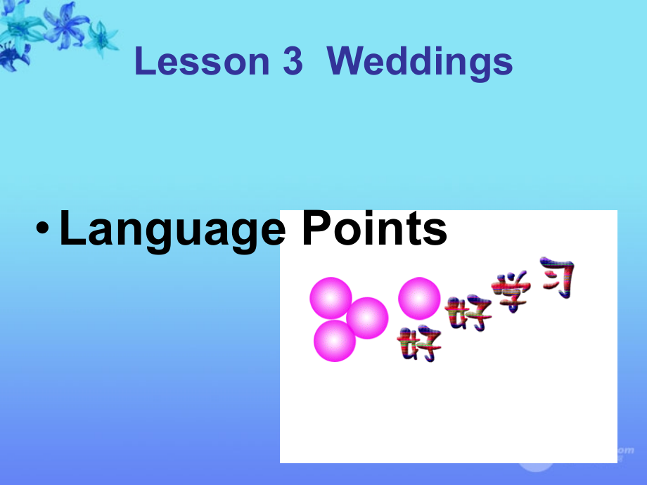 高一英语(unit 3 lesson 3 wedding 语言应用)课件.ppt_第1页