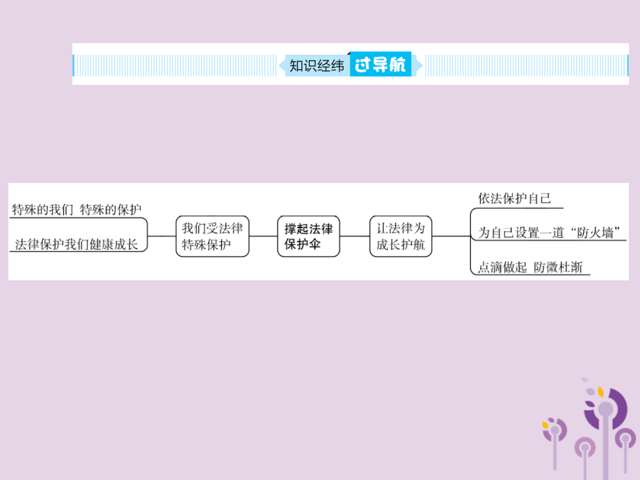 中考道德与法治总复习 七下 第九单元 撑起法律保护伞课件.pptx_第2页