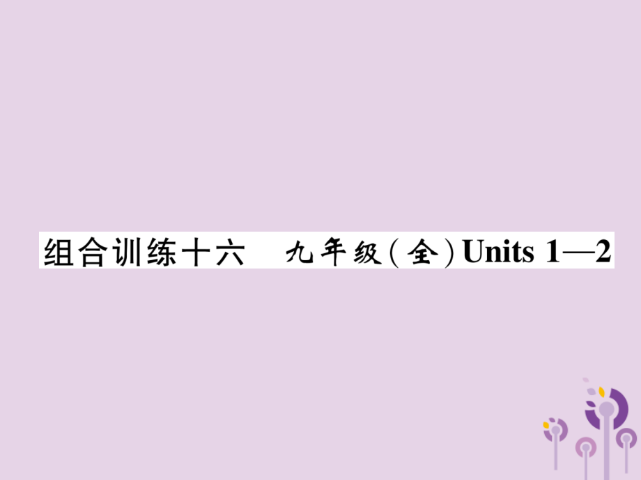 中考英语总复习 第一篇 教材知识梳理篇 组合训练16 九全 Units 1 2(精练)课件.ppt_第1页