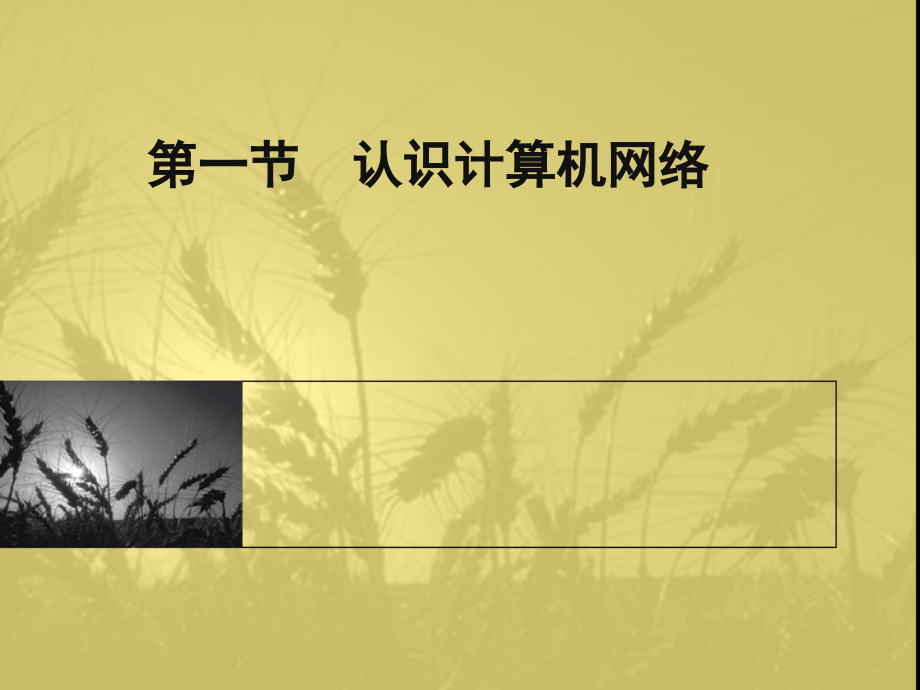 第一节认识计算机网络.ppt_第1页