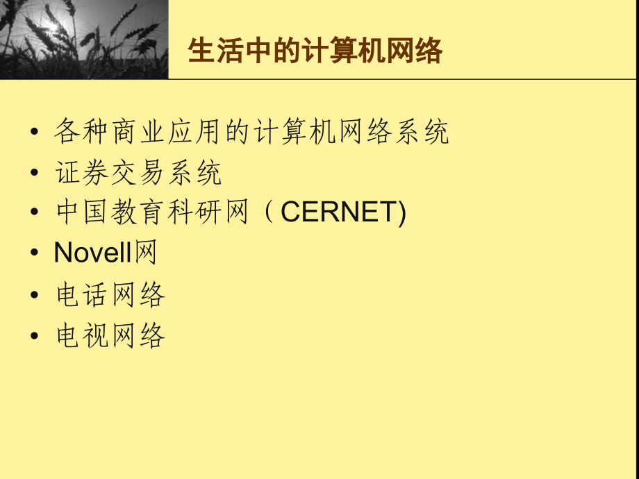 第一节认识计算机网络.ppt_第2页