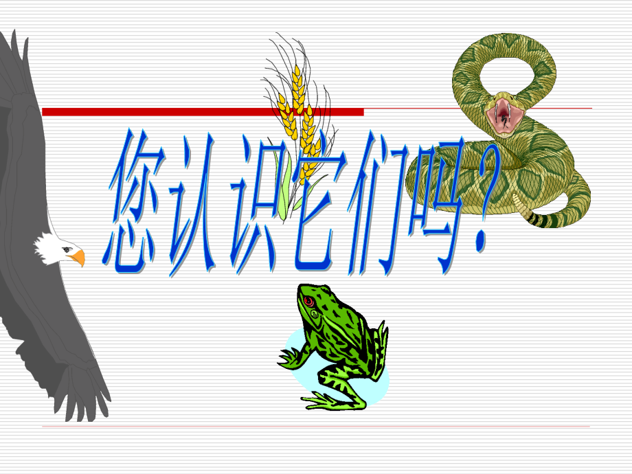 有趣的食物链课件PPT下载苏教版六年级科学下册课件.ppt_第2页