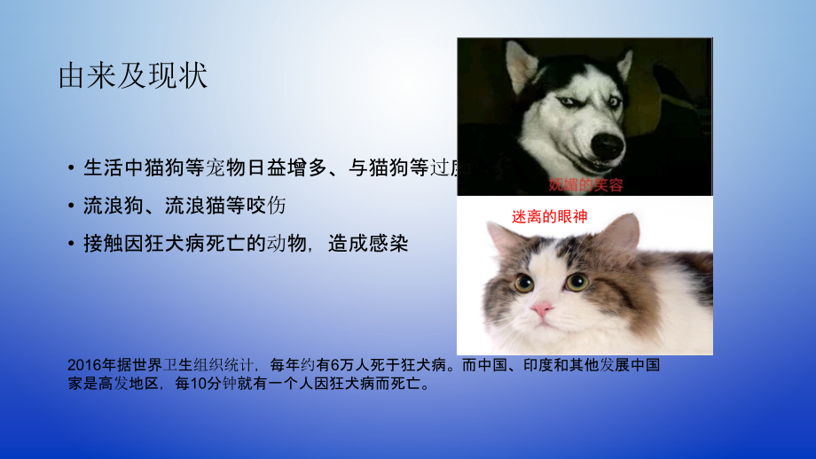 狂犬病预防宣传课件.ppt_第2页
