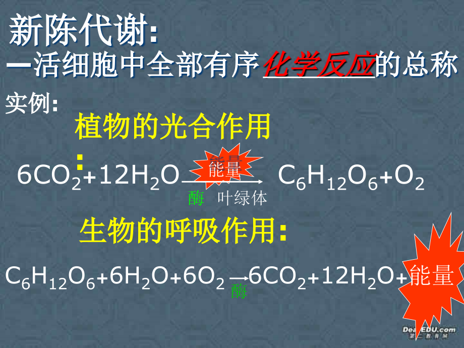 第二节 新陈代谢与ＡＴＰ 高二生物第三章 生物的新陈代谢课件一[整理四课时]新课标 高二生物第三章 生物的新陈代谢课件一[整理四课时]新课标.ppt_第2页