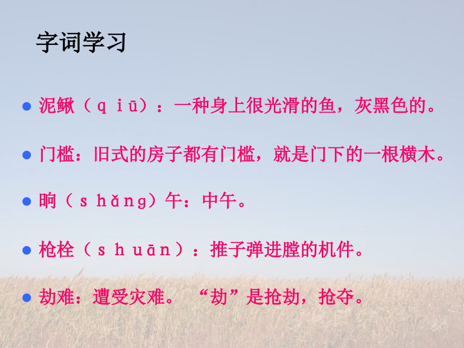 小英雄雨来PPT课件.ppt_第2页