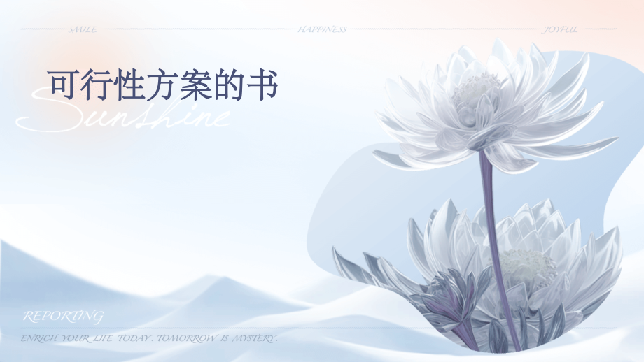 可行性方案的书.pptx_第1页