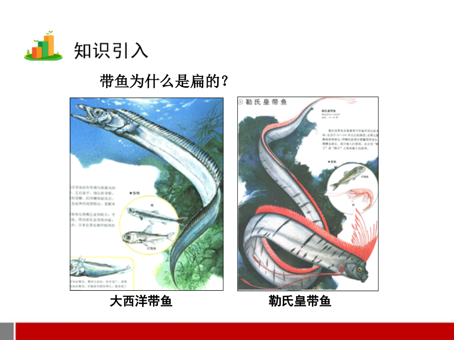 液体的压强课件1 课件.ppt_第2页