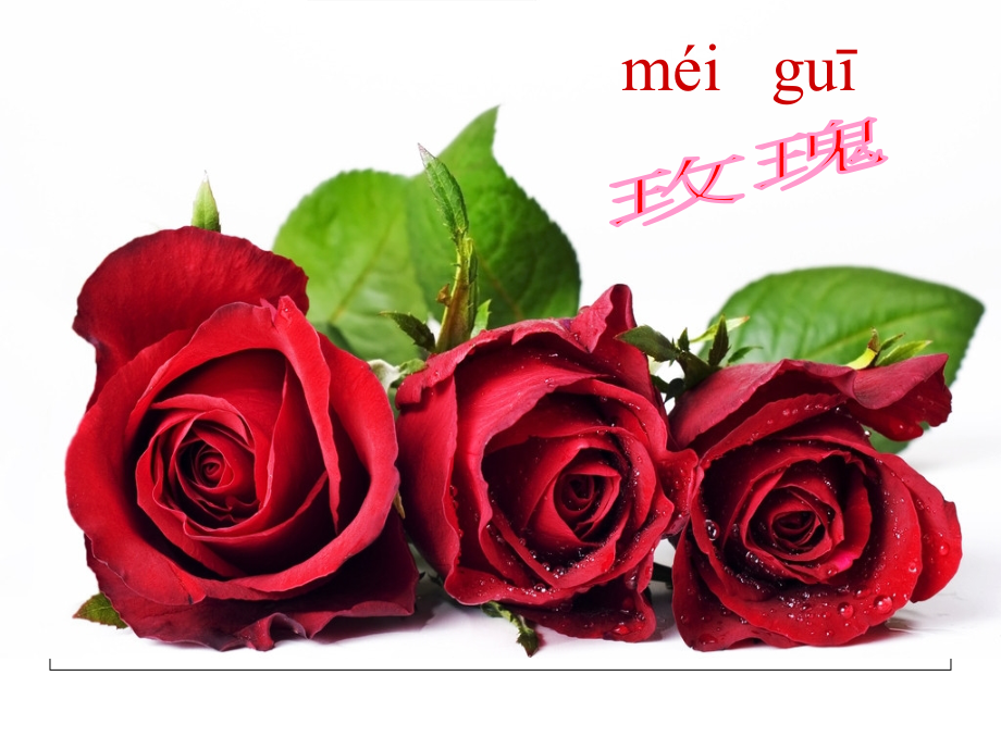 《一株紫丁香.ppt_第2页