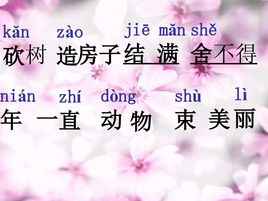 3470小熊住山洞.ppt_第2页